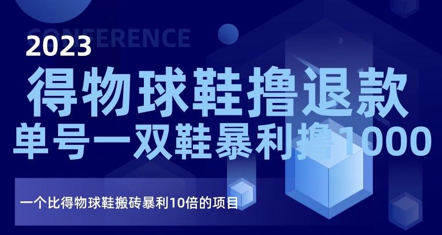 2023得物球鞋撸退款，单号一双鞋暴利撸1000，一个比得物球鞋搬砖暴利10倍的项目【揭秘】-天韵资源网