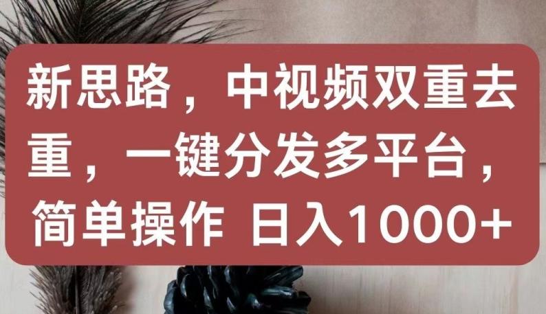 新思路，中视频双重去重，一键分发多平台，简单操作，日入1000+【揭秘】-天韵资源网