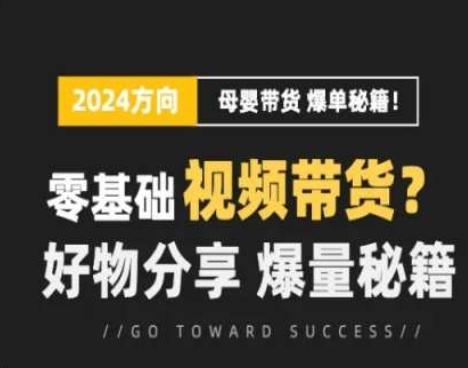 短视频母婴赛道实操流量训练营，零基础视频带货，好物分享，爆量秘籍-天韵资源网