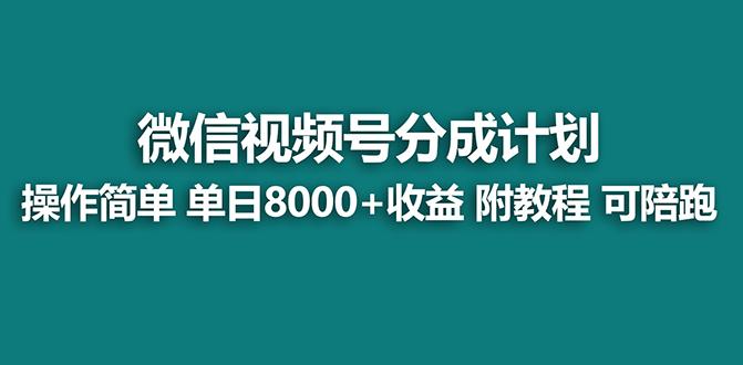 【蓝海项目】视频号分成计划最新玩法，单天收益8000+，附玩法教程，24年…-天韵资源网