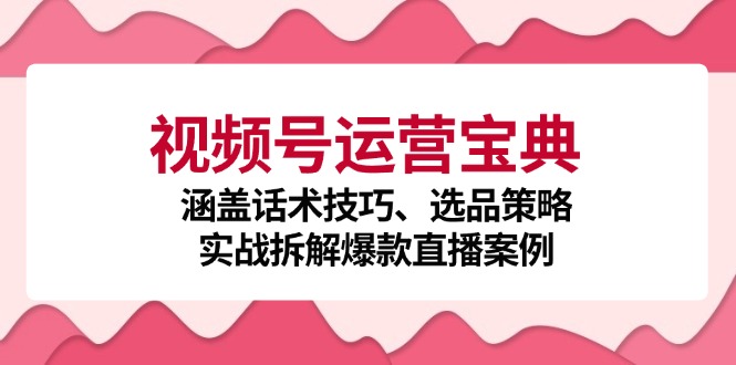 视频号运营宝典：涵盖话术技巧、选品策略、实战拆解爆款直播案例-天韵资源网