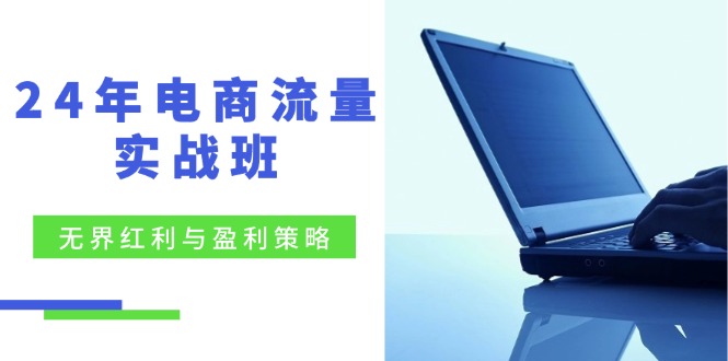 24年电商流量实战班：无界 红利与盈利策略，终极提升/关键词优化/精准…-天韵资源网