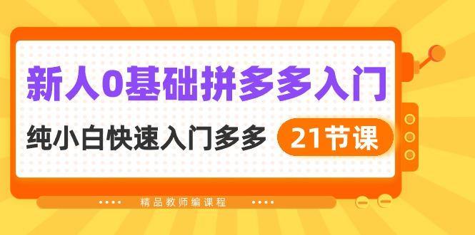 新人0基础拼多多入门，​纯小白快速入门多多(21节课-天韵资源网