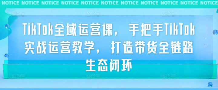TikTok全域运营课，手把手TikTok实战运营教学，打造带货全链路生态闭环-天韵资源网