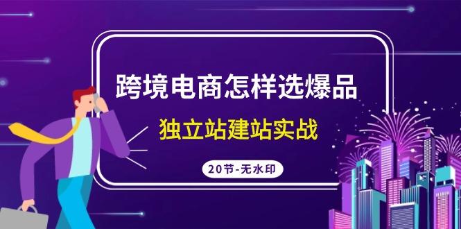 (9369期)跨境电商怎样选爆品，独立站建站实战(20节高清无水印课)-天韵资源网