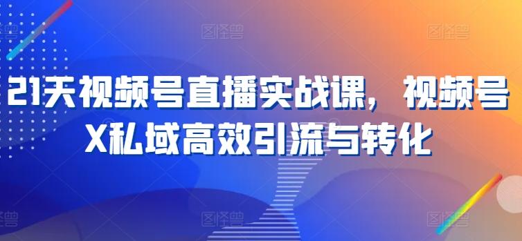 21天视频号直播实战课，视频号X私域高效引流与转化-天韵资源网