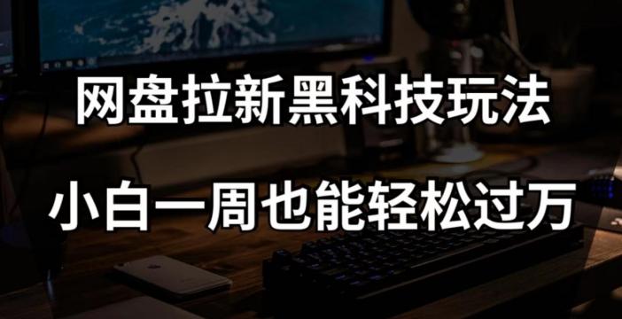 网盘拉新黑科技玩法，小白一周也能轻松过万【全套视频教程+黑科技】【揭秘】-天韵资源网