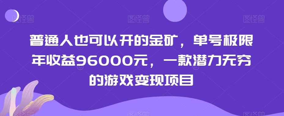普通人也可以开的金矿，单号极限年收益96000元，一款潜力无穷的游戏变现项目【揭秘】-天韵资源网