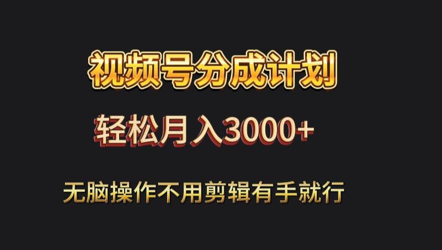 视频号流量分成，不用剪辑，有手就行，轻松月入2000+-天韵资源网
