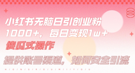 小红书无脑每日引流创业粉500+，小白每天只花半小时，躺赚长尾收益【揭秘】-天韵资源网