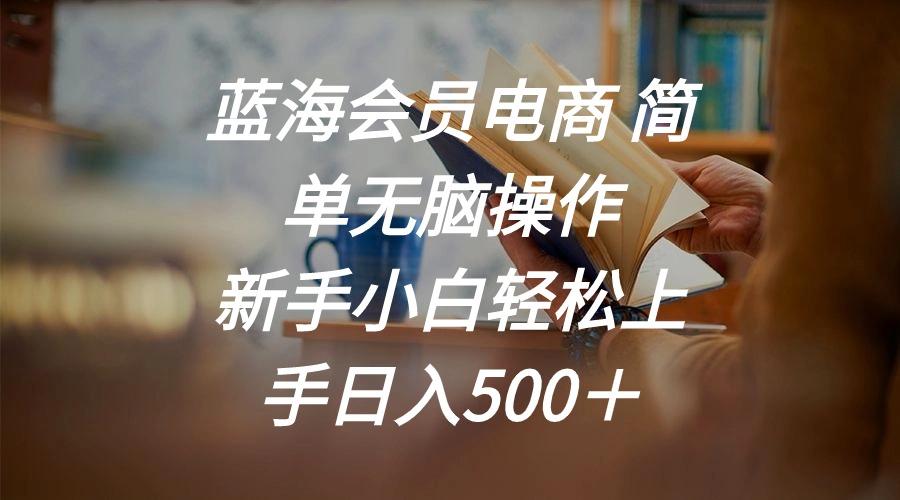蓝海会员电商 简单无脑操作 新手小白轻松上手日入500＋-天韵资源网