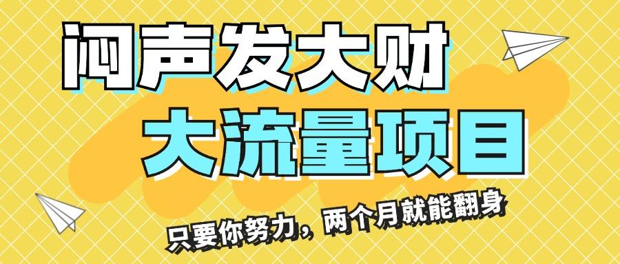 闷声发大财，大流量项目，月收益过3万，只要你努力，两个月就能翻身-天韵资源网