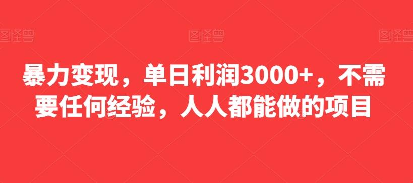 暴力变现，单日利润3000+，不需要任何经验，人人都能做的项目-天韵资源网