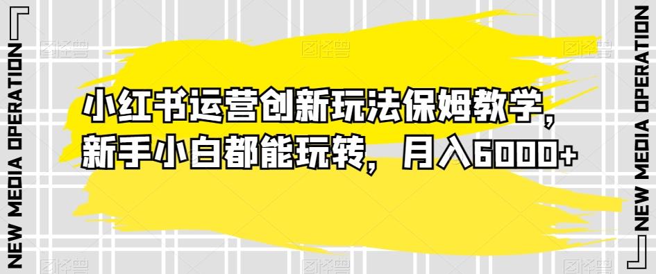 小红书运营创新玩法保姆教学，新手小白都能玩转，月入6000+【揭秘】-天韵资源网