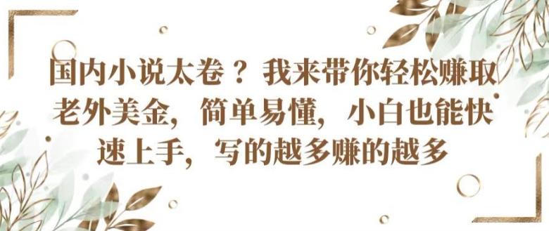 国内小说太卷 ?带你轻松赚取老外美金，简单易懂，小白也能快速上手，写的越多赚的越多【揭秘】-天韵资源网