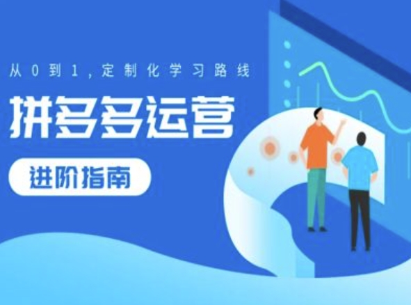 拼多多运营进阶指南，从0到1定制化学习路线-天韵资源网