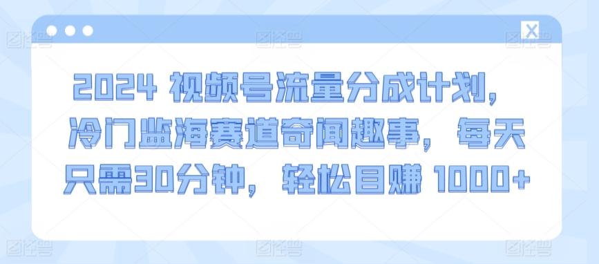 2024视频号流量分成计划，冷门监海赛道奇闻趣事，每天只需30分钟，轻松目赚 1000+【揭秘】-天韵资源网