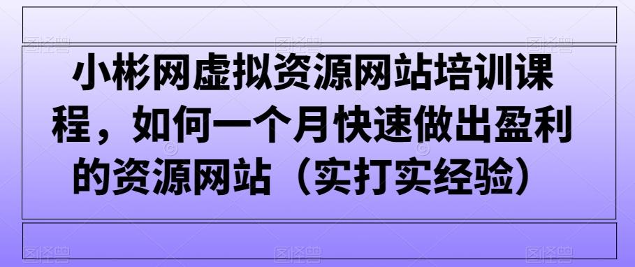 小彬网虚拟资源网站培训课程，如何一个月快速做出盈利的资源网站(实打实经验)-天韵资源网