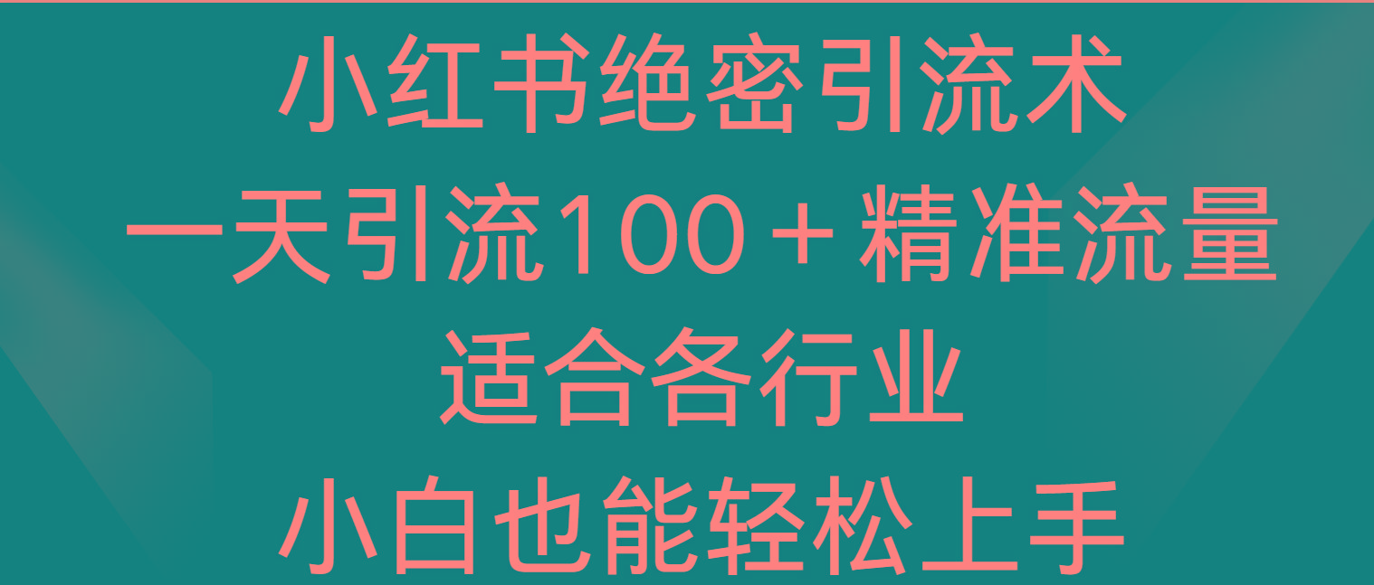 小红书绝密引流术，一天引流100＋精准流量，适合各个行业，小白也能轻松上手-天韵资源网