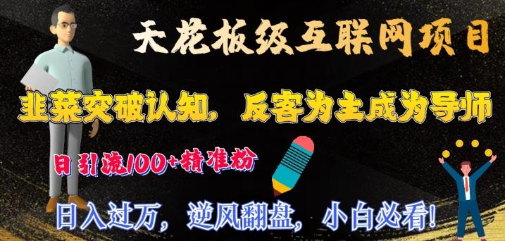 天花板级互联网项目，韭菜突破认知，反客为主成为导师，日引流100+精准粉-天韵资源网