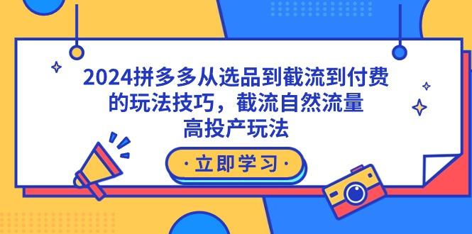 2024拼多多从选品到截流到付费的玩法技巧，截流自然流量玩法，高投产玩法-天韵资源网