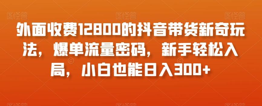 外面收费12800的抖音带货新奇玩法，爆单流量密码，新手轻松入局，小白也能日入300+【揭秘】-天韵资源网