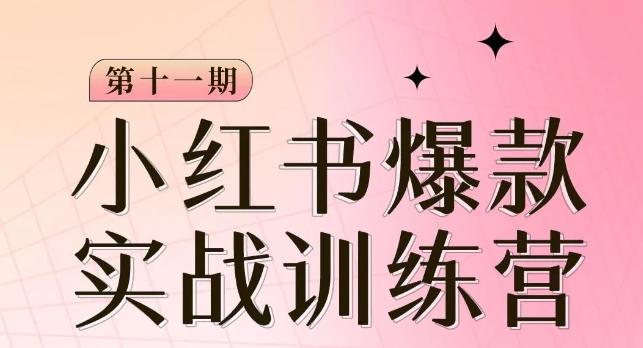小红书博主爆款训练营第11期，手把手教你从0-1做小红书，从定位到起号到变现-天韵资源网