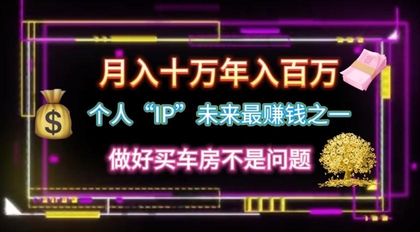 个人“ip”月入10w，年入100w-天韵资源网