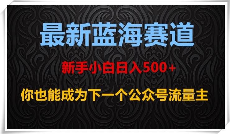 最新蓝海赛道，新手小白日入500+，你也能成为下一个公众号流量主【揭秘】-天韵资源网