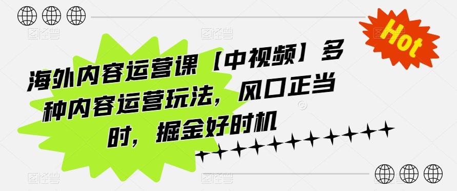 海外内容运营课【中视频】多种内容运营玩法，风口正当时，掘金好时机-天韵资源网