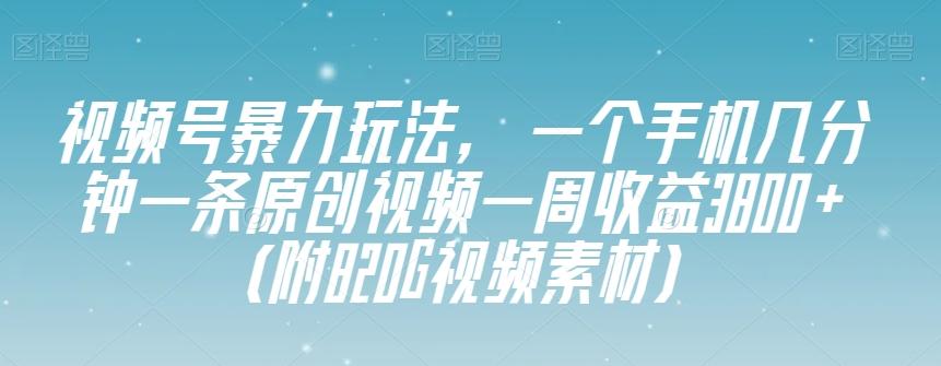 视频号暴力玩法，一个手机几分钟一条原创视频一周收益3800+（附820G视频素材）-天韵资源网