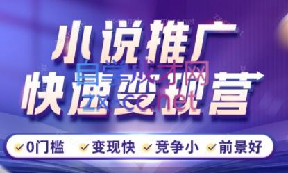 洲洲老师·小说推广快速变现营-天韵资源网