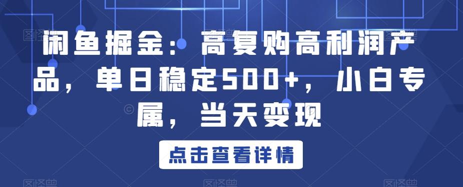 闲鱼掘金：高复购高利润产品，单日稳定500+，小白专属，当天变现-天韵资源网