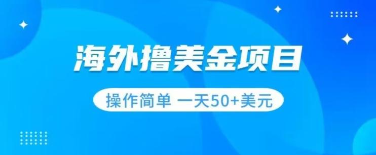 撸美金项目无门槛操作简单小白一天50+美刀-天韵资源网