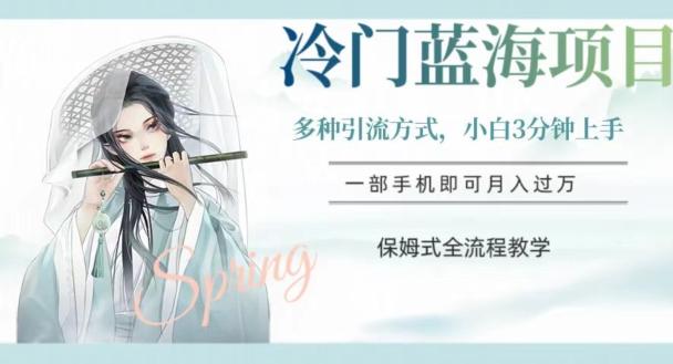 冷门蓝海项目，操作简单，小白3分钟上手，多种引流方式，保姆式全流程教学【揭秘】-天韵资源网
