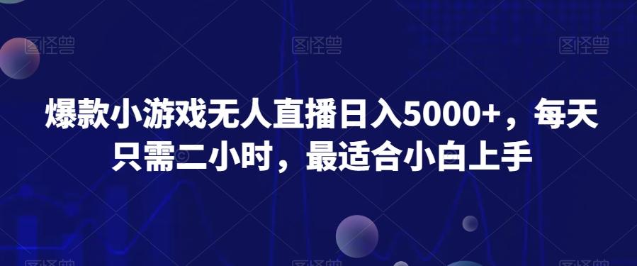 爆款小游戏无人直播日入5000+，每天只需二小时，最适合小白上手-天韵资源网