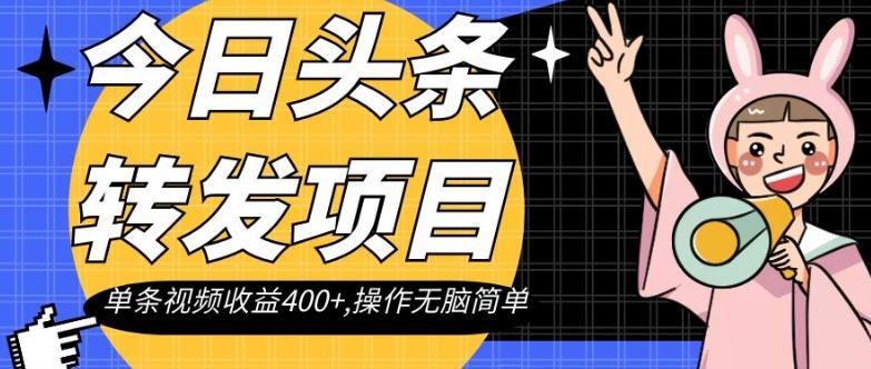 今日头条转发项目，单条视频收益400+,操作无脑简单【揭秘】-天韵资源网