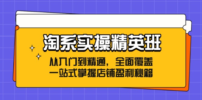 淘系实操精英班：从入门到精通，全面覆盖，一站式掌握店铺盈利秘籍-天韵资源网