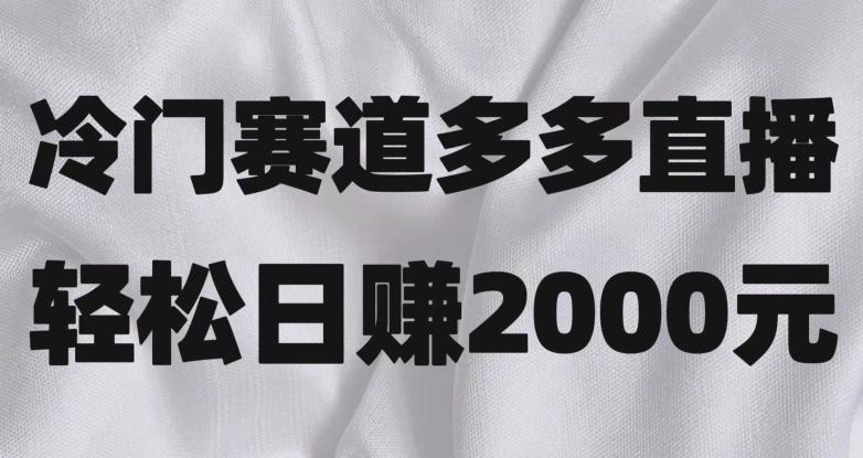 冷门赛道拼多多直播，简单念稿子，日收益2000＋【揭秘】-天韵资源网