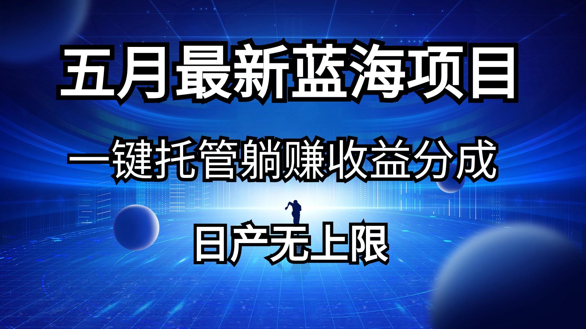 五月刚出最新蓝海项目一键托管 躺赚收益分成 日产无上限-天韵资源网