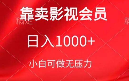靠卖影视会员，日入1000+，落地保姆级教程，新手可学【揭秘】-天韵资源网