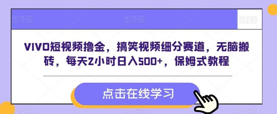 VIVO短视频撸金，搞笑视频细分赛道，无脑搬砖，每天2小时日入500+，保姆式教程-天韵资源网