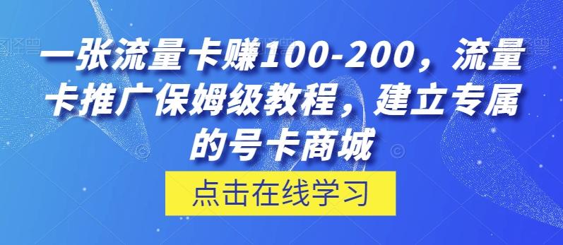 一张流量卡赚100-200，流量卡推广保姆级教程，建立专属的号卡商城-天韵资源网