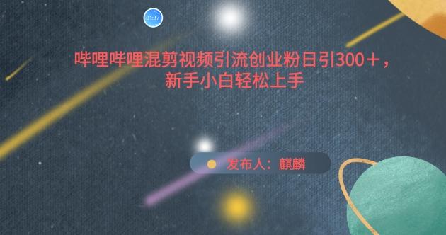 哔哩哔哩混剪视频引流创业粉日引300+，新手小白轻松上手【揭秘】-天韵资源网