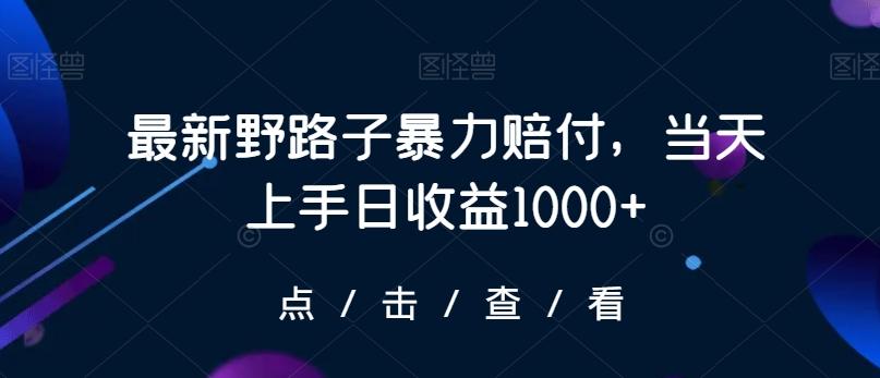 最新野路子暴力赔付，当天上手日收益1000+【仅揭秘】-天韵资源网