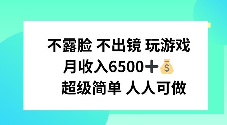 不露脸 不出境 玩游戏，月入6500 超级简单 人人可做【揭秘】-天韵资源网