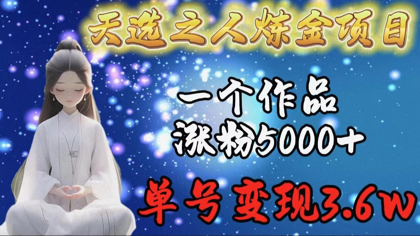 (9693期)天选之人炼金项目，一个作品涨粉5000+，单号变现3.6w-天韵资源网