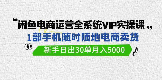 (9547期)闲鱼电商运营全系统VIP实战课，1部手机随时随地卖货，新手日出30单月入5000-天韵资源网