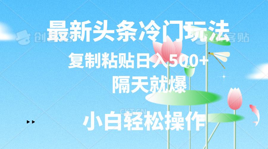 最新头条冷门玩法，隔天就爆，复制粘贴日入500+-天韵资源网