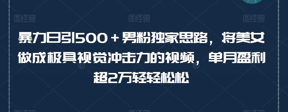 暴力日引500＋男粉独家思路，将美女做成极具视觉冲击力的视频，单月盈利超2万轻轻松松-天韵资源网